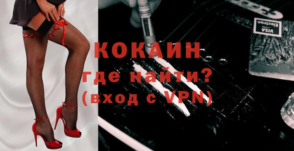 ешки Алексин