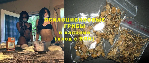 ешки Алексин