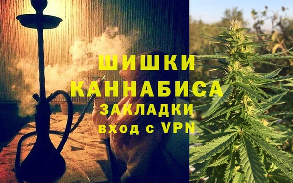 спайс Алзамай