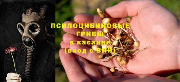 mdpv Арсеньев