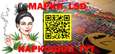шишки Кандалакша