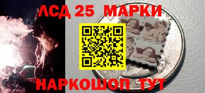 шишки Кандалакша