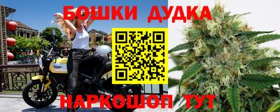 шишки Кандалакша