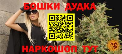 гидропоника Канаш