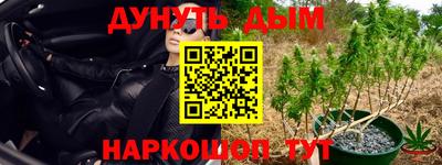 шишки Кандалакша