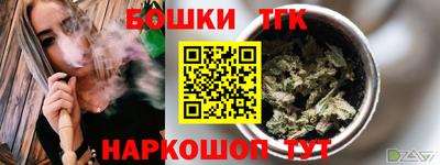 шишки Кандалакша