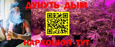 шишки Кандалакша
