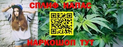 шишки Кандалакша