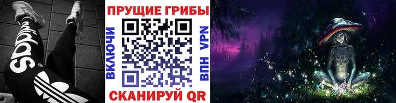 Галлюциногенные грибы Magic Shrooms  ОМГ ОМГ зеркало  Набережные Челны  купить наркоту 
