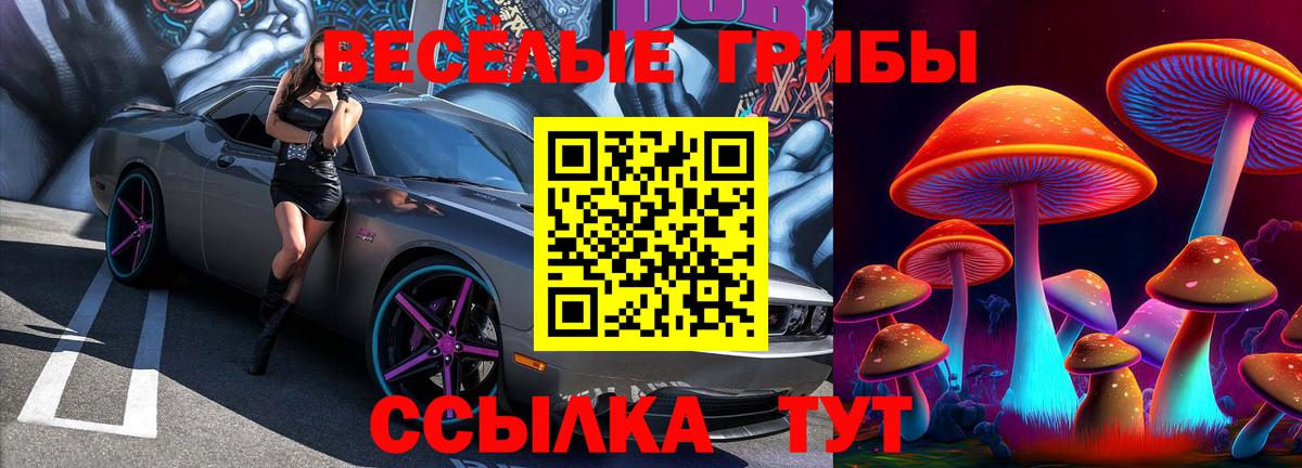 Галлюциногенные грибы мицелий Набережные Челны