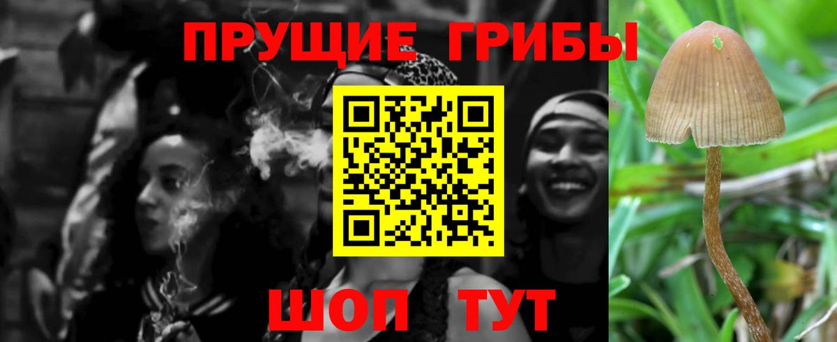 Псилоцибиновые грибы Psilocybe  Вход с VPN  Набережные Челны 